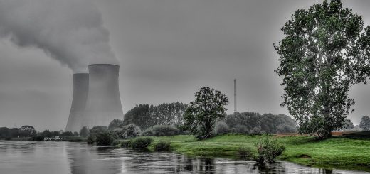 Atomkraft verstopft die Netze? Wie ein Grüner Abgeordneter sich selbst bloßstellt
